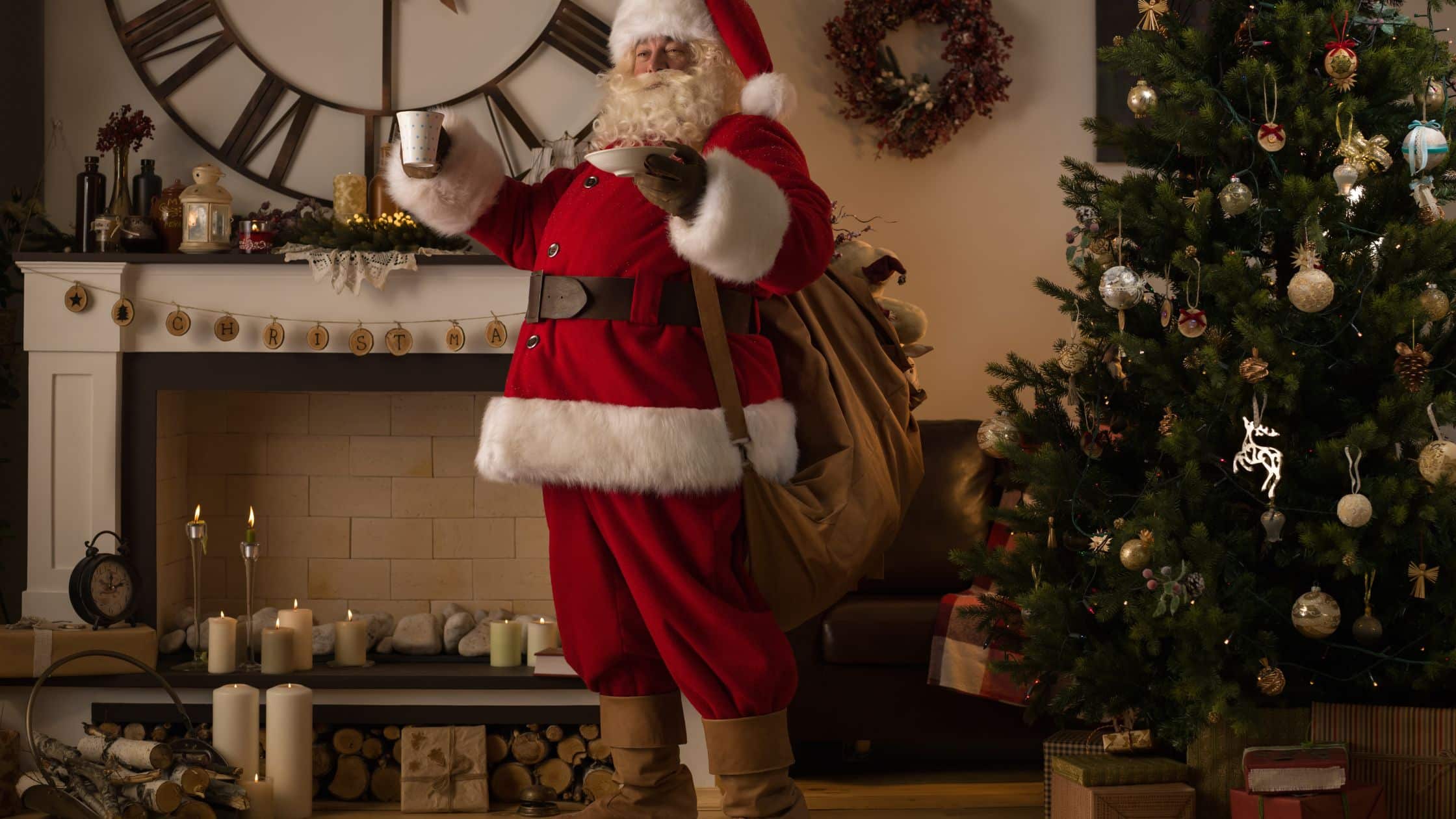 Professional Santa Claus Services in Naples Fl